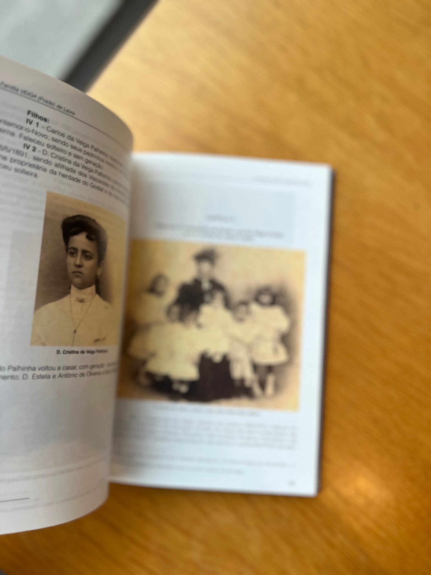 A FAMÍLIA VEIGA (FRADE) DE LAVRE