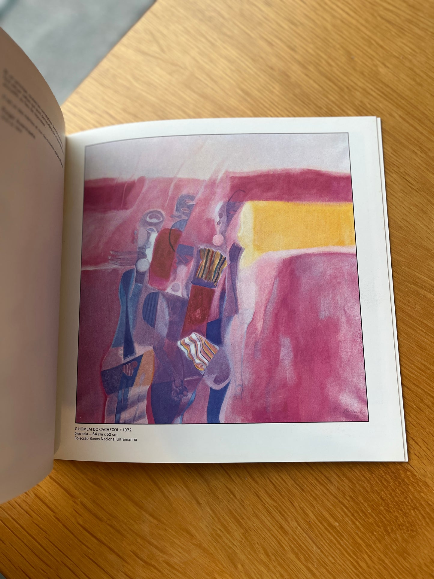 JÚLIO RESENDE, EXPOSIÇÃO RETROSPECTIVA