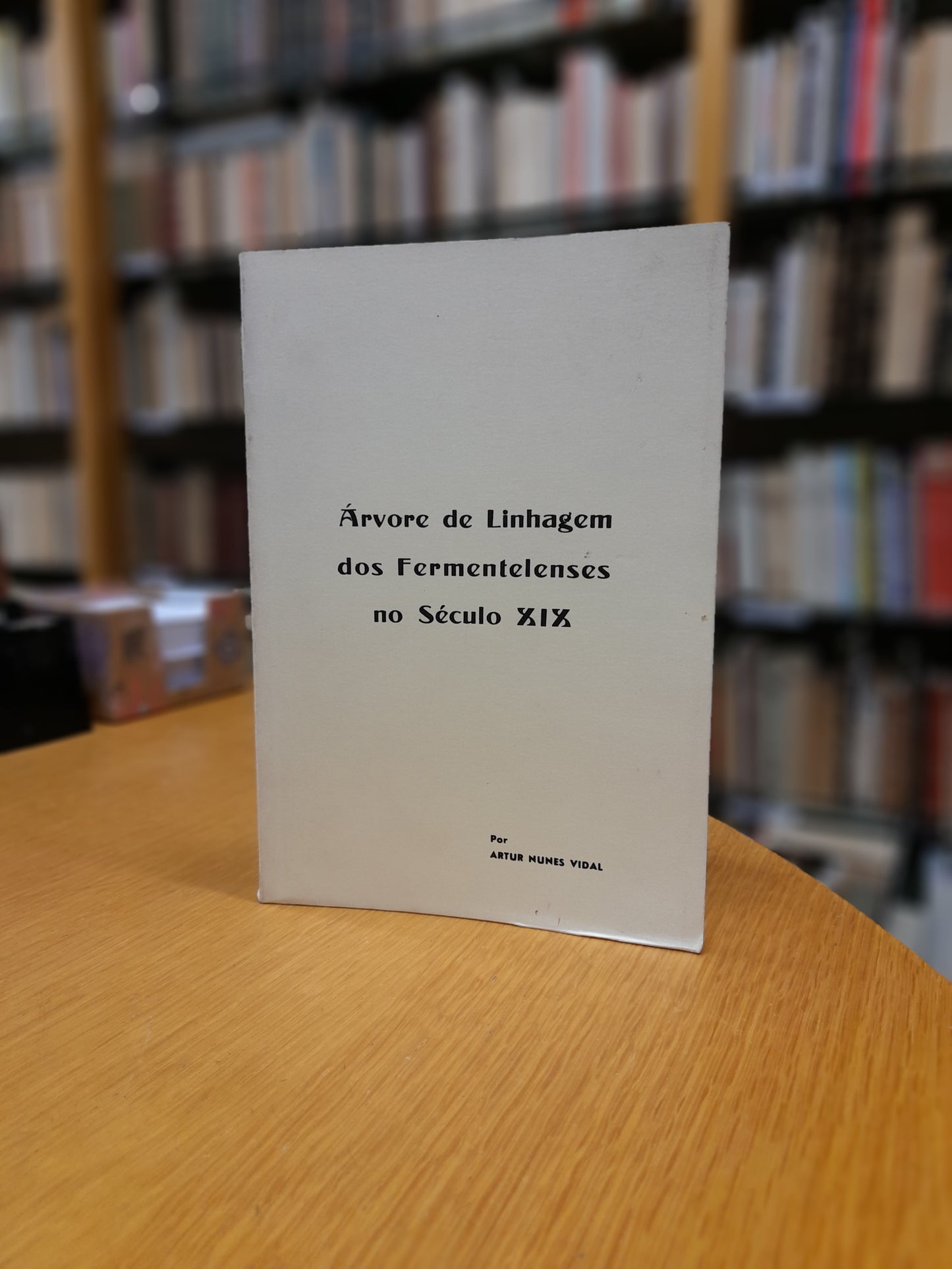 ÁRVORE DE LINHAGEM DOS FERMENTELENSES NO SÉC. XIX