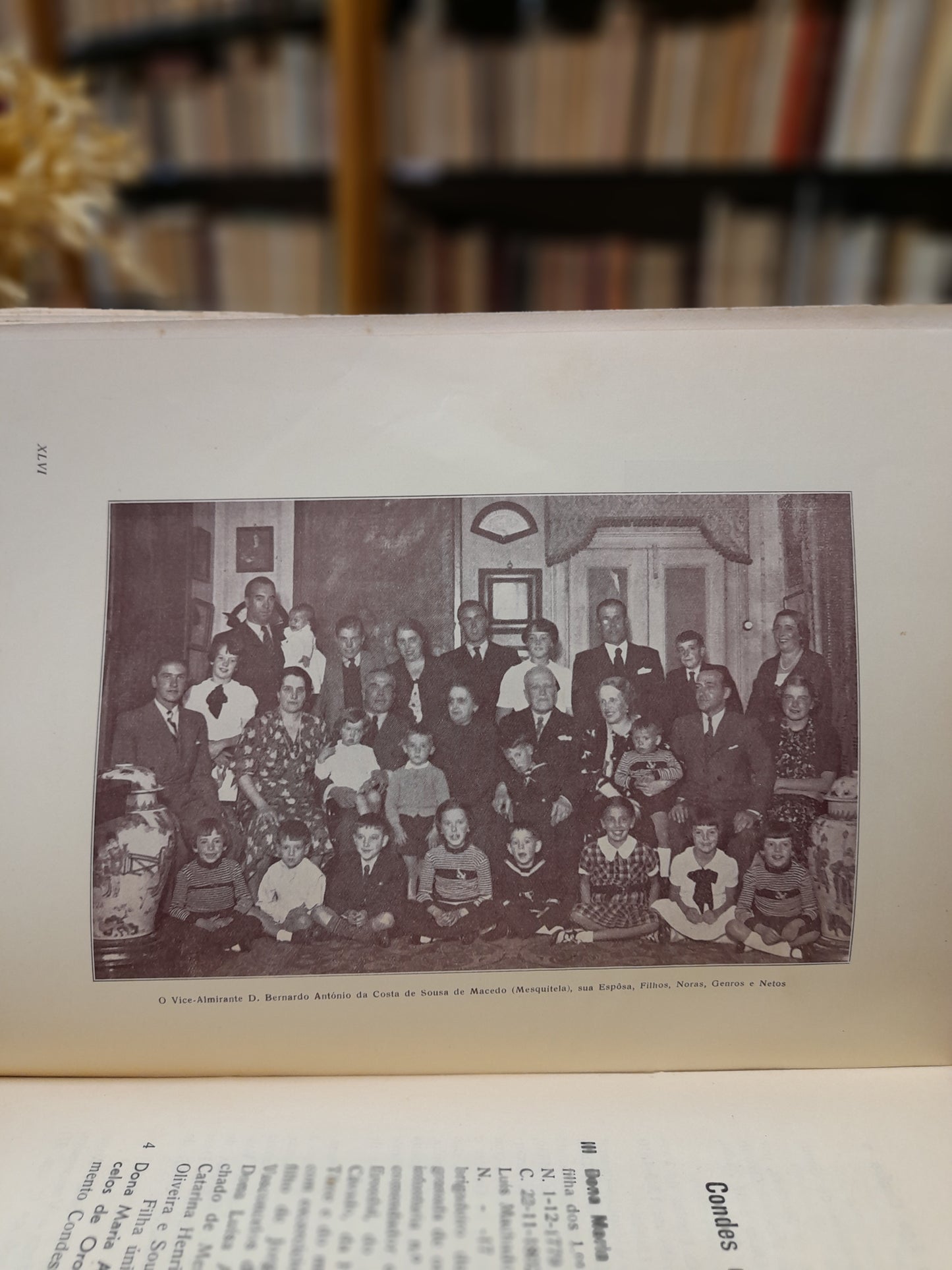 DESCENDÊNCIA DOS 1.OS MARQUESES DE POMBAL
