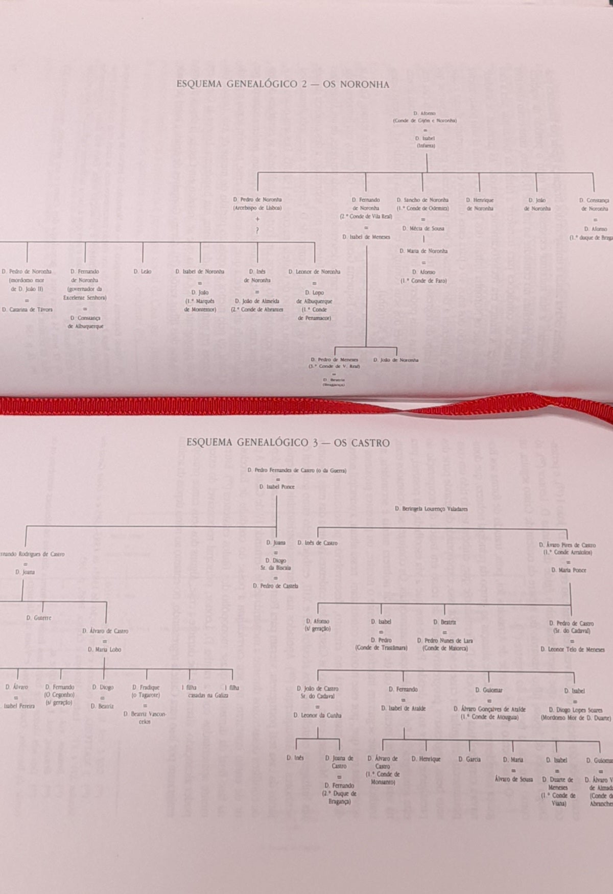 LINHAGEM, PARENTESCO E PODER - A CASA DE BRAGANÇA (1384- 1483)