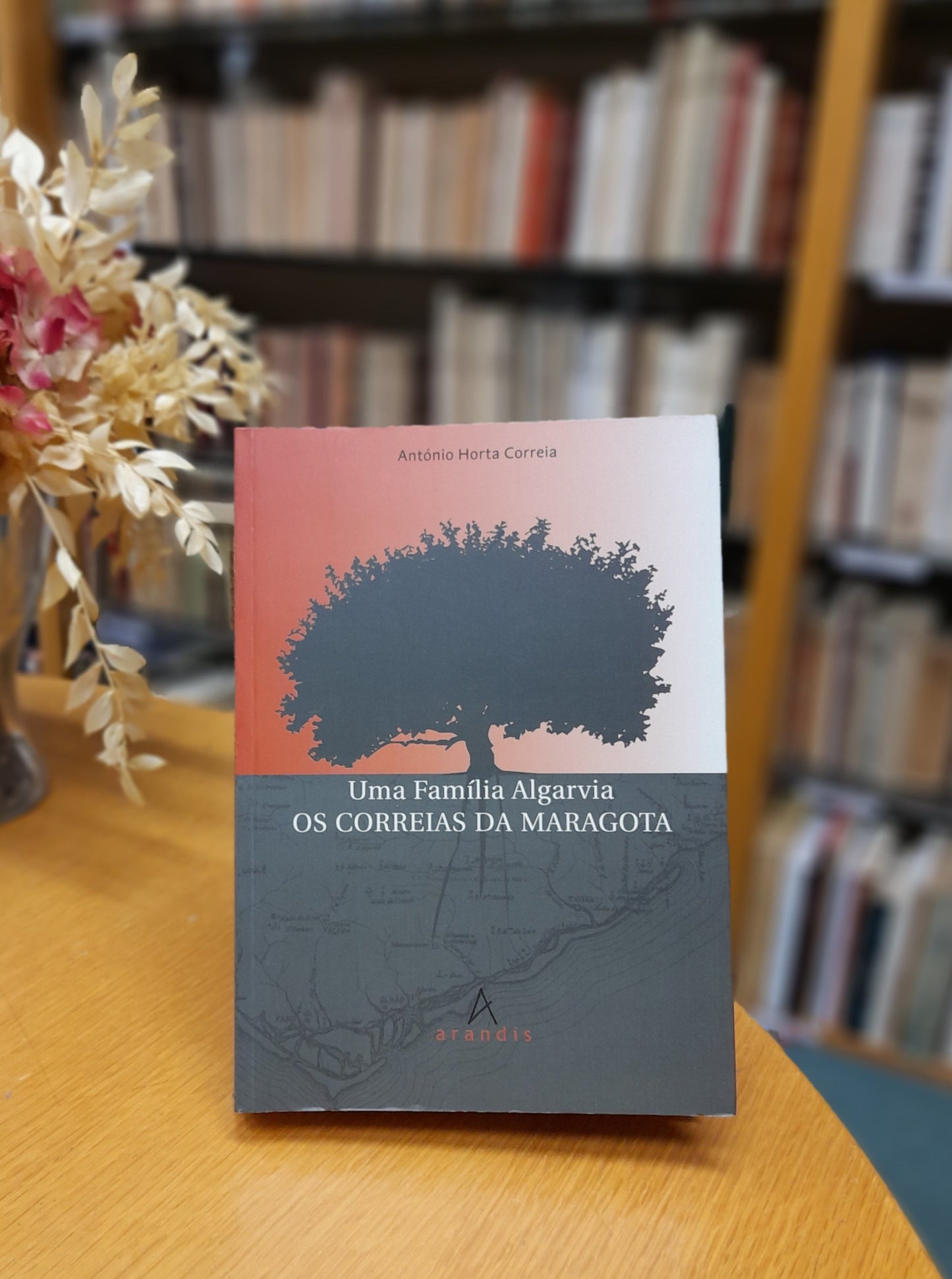 UMA FAMÍLIA ALGARVIA - OS CORREIAS DA MARAGOTA