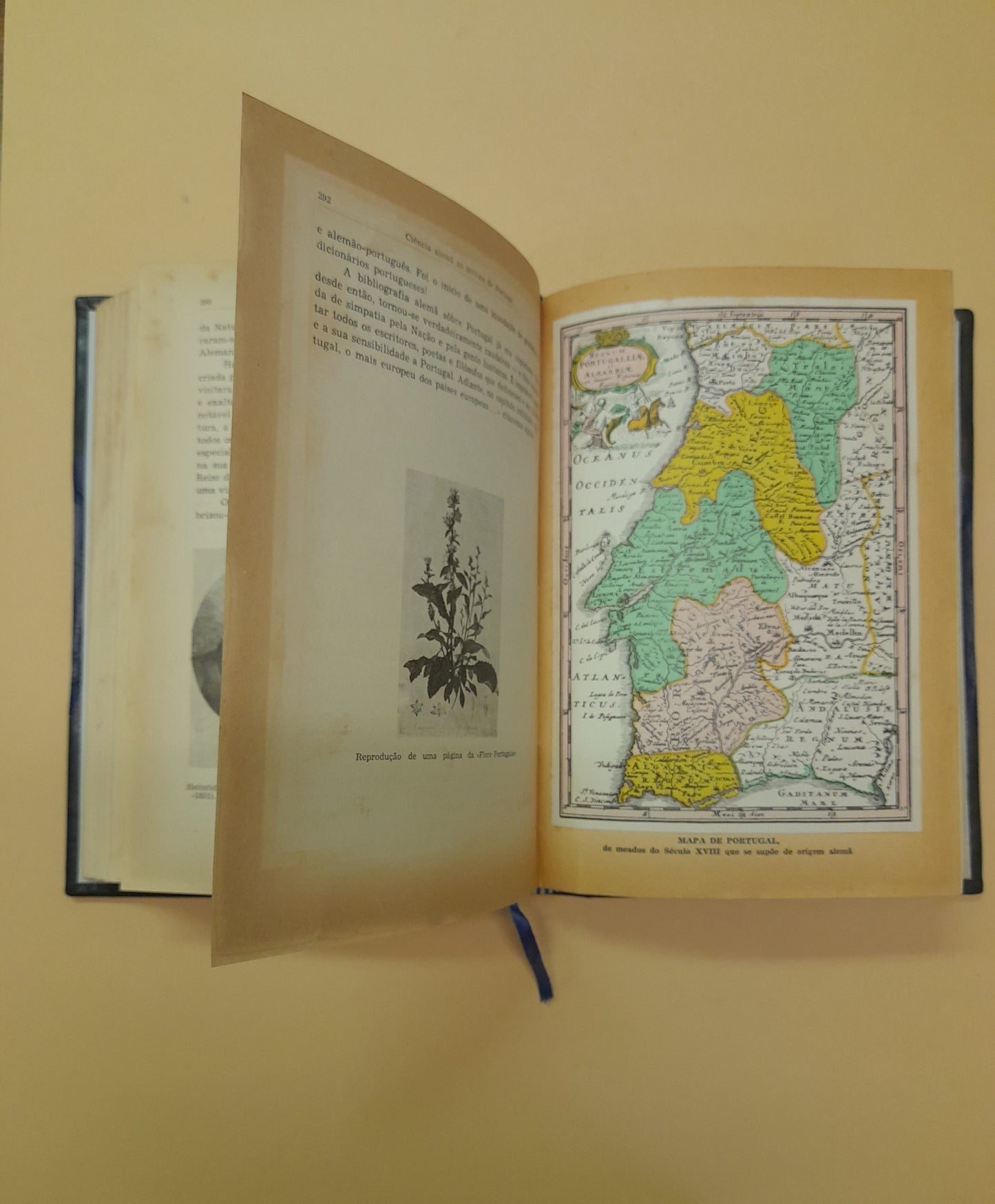 OITO SÉCULOS DE HISTÓRIA LUSO-ALEMÃ