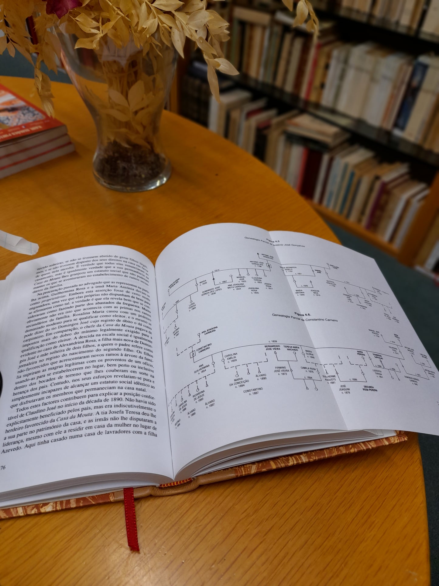 TERRA, HERANÇA E FAMÍLIA NO NOROESTE DE PORTUGAL