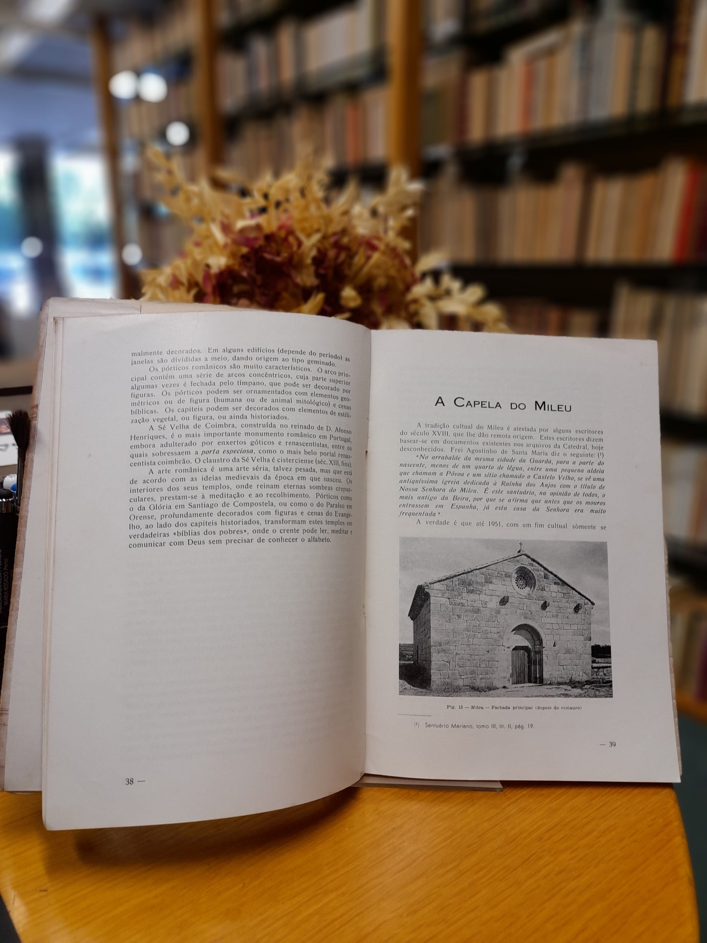 MONOGRAFIA ARTÍSTICA DA CIDADE DA GUARDA