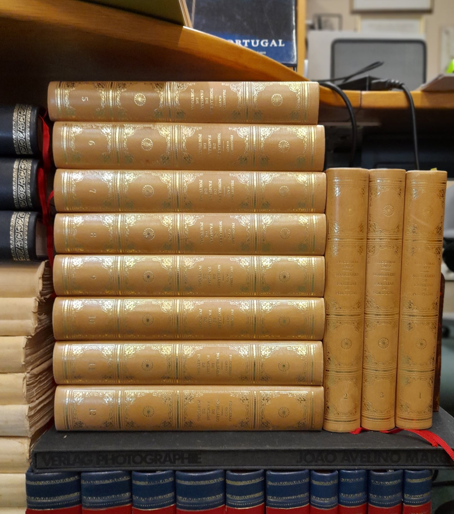 NOBILIÁRIO DAS FAMÍLIAS DE PORTUGAL