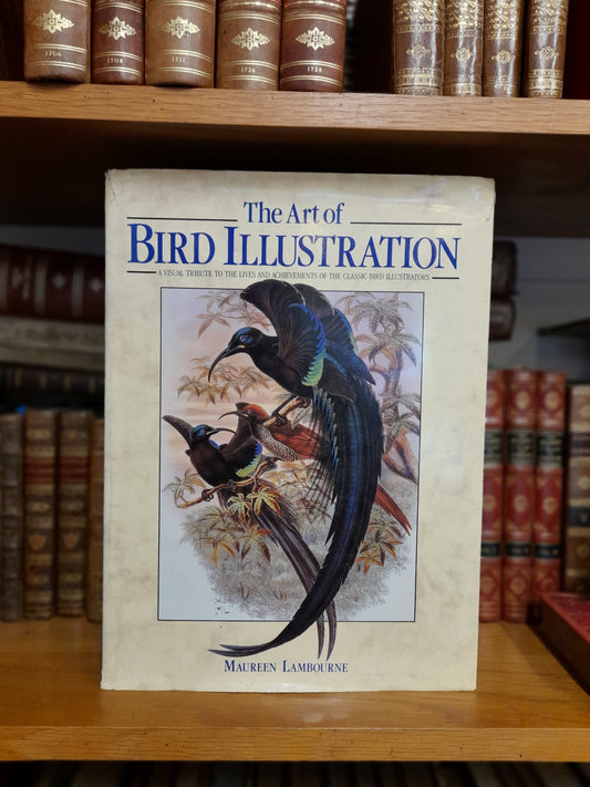 THE ART OF BIRD ILLUSTRATION