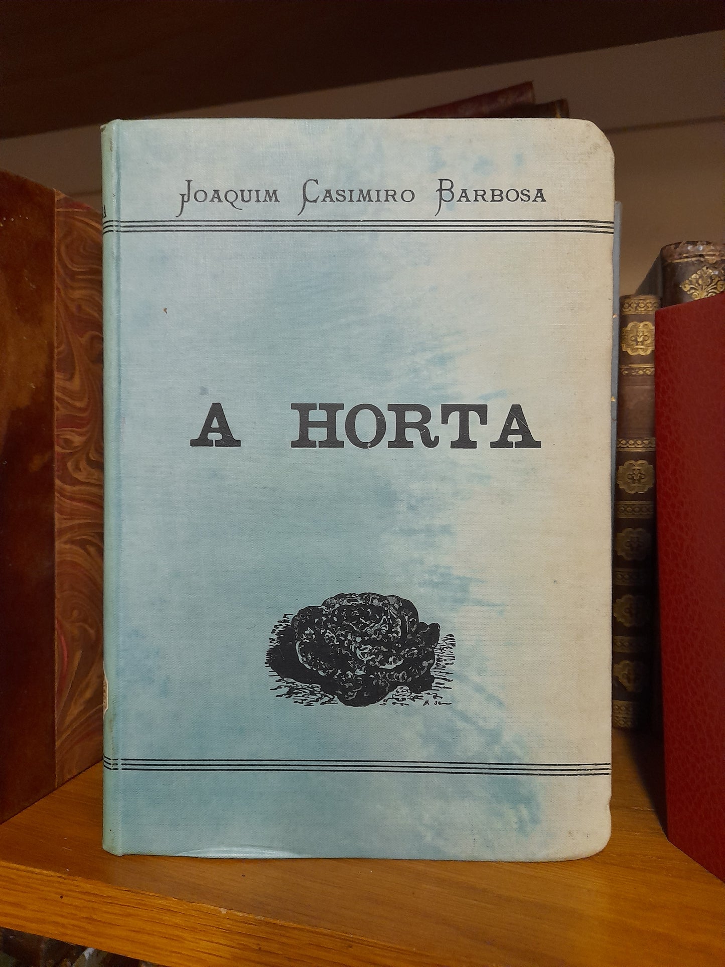 A HORTA