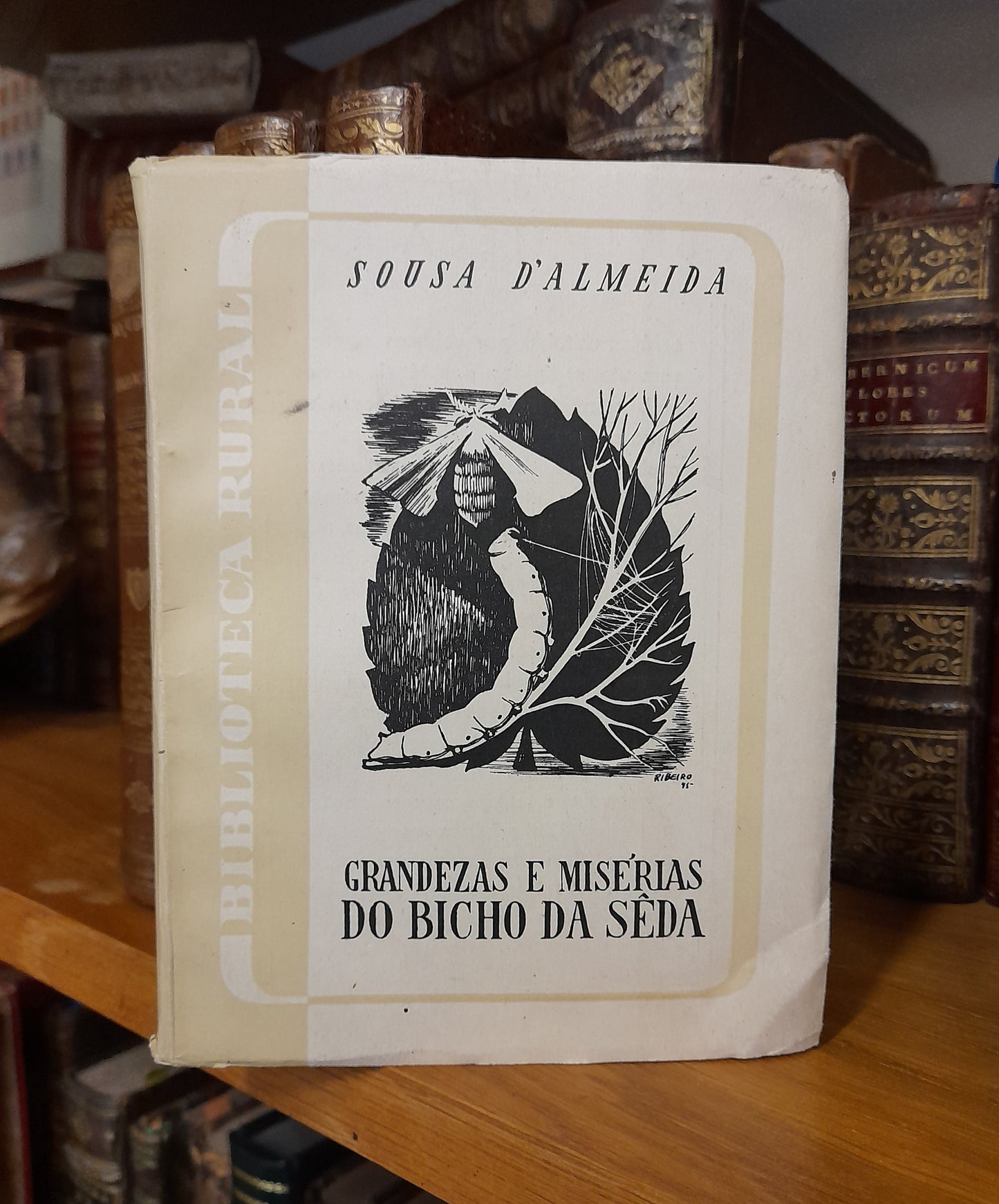 GRANDEZAS E MISÉRIAS DO BICHO DA SÊDA