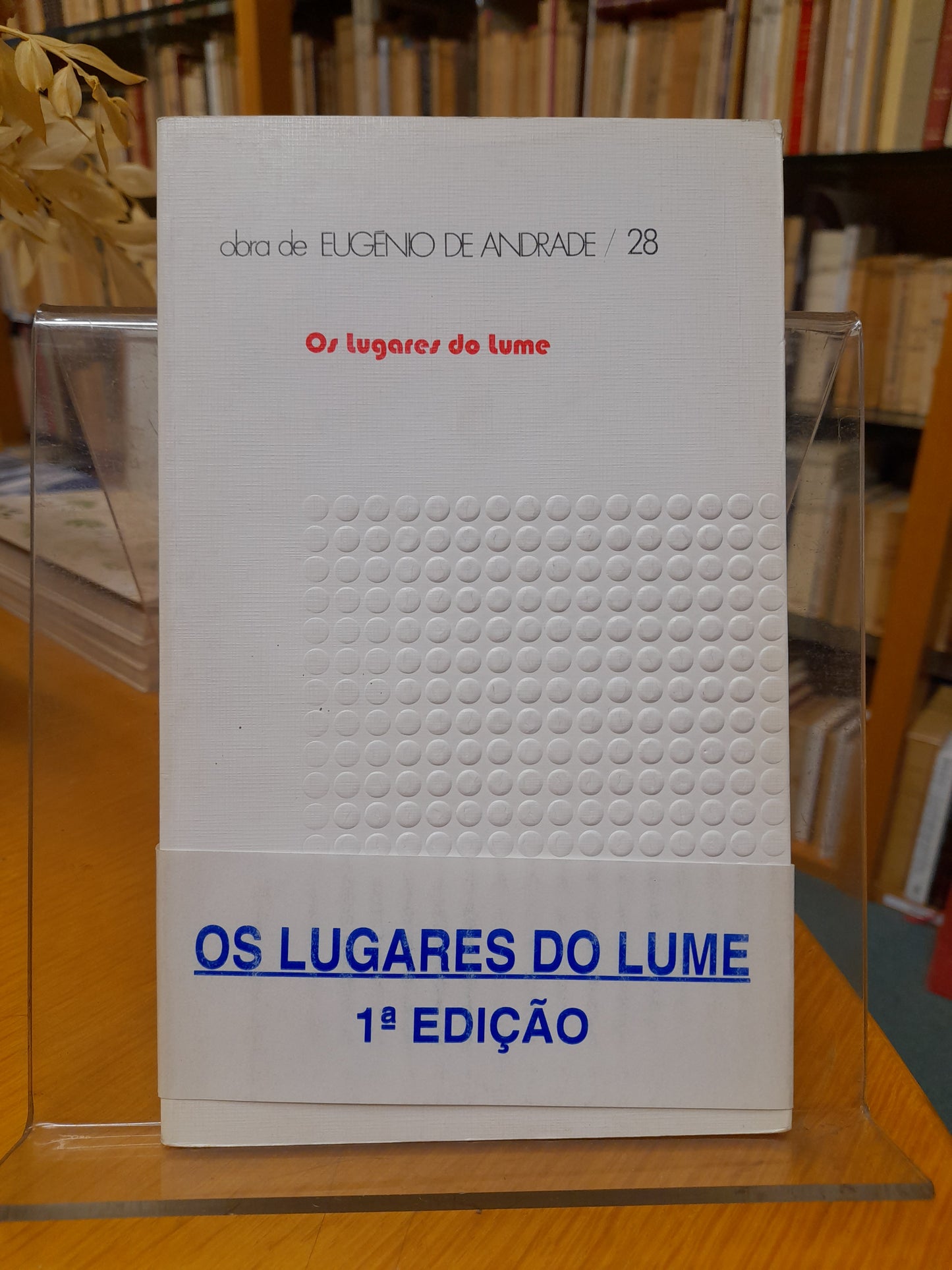 OS LUGARES DO LUME