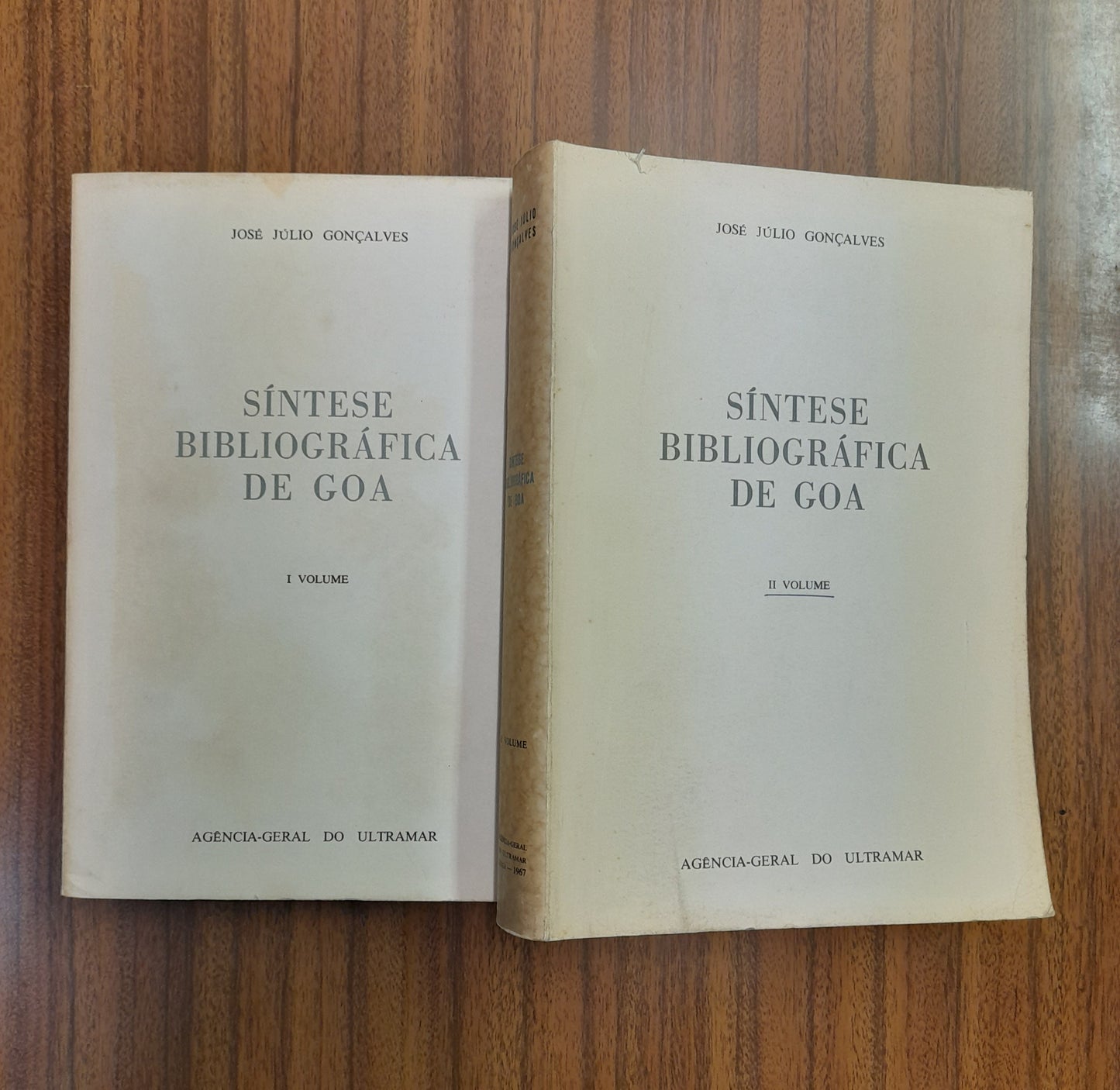 SÍNTESE BIBLIOGRÁFICA DE GOA