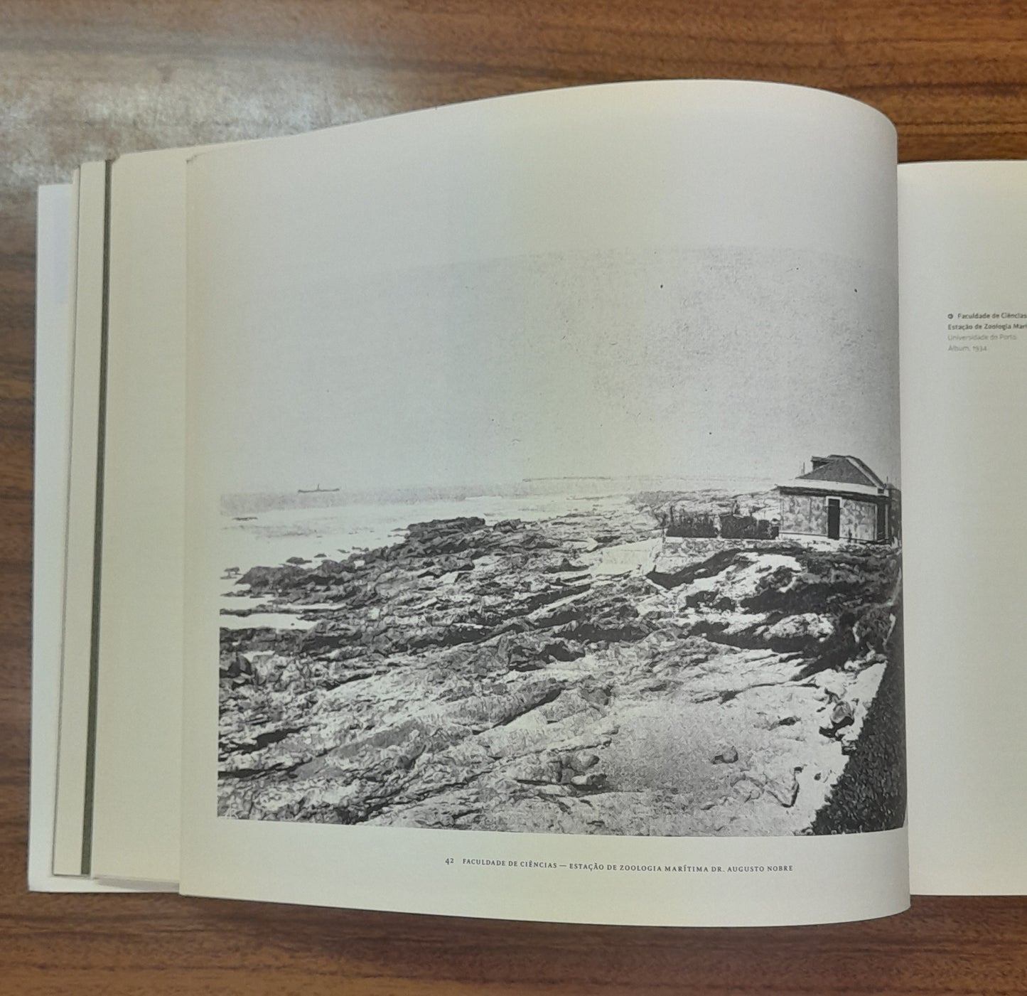 A UNIVERSIDADE DO PORTO E A CIDADE, EDIFÍCIOS AO LONGO DA HISTÓRIA