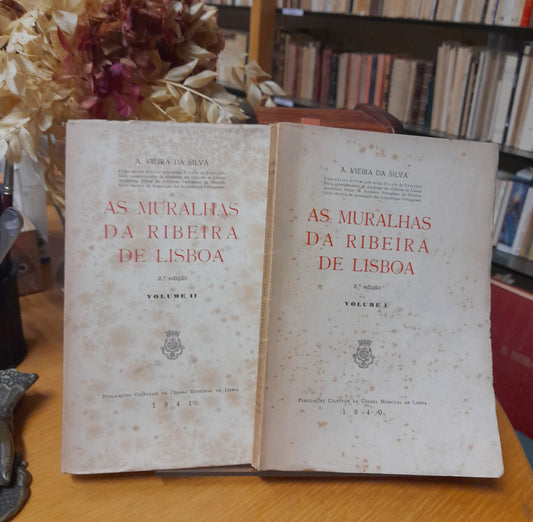 AS MURALHAS DA RIBEIRA DE LISBOA.