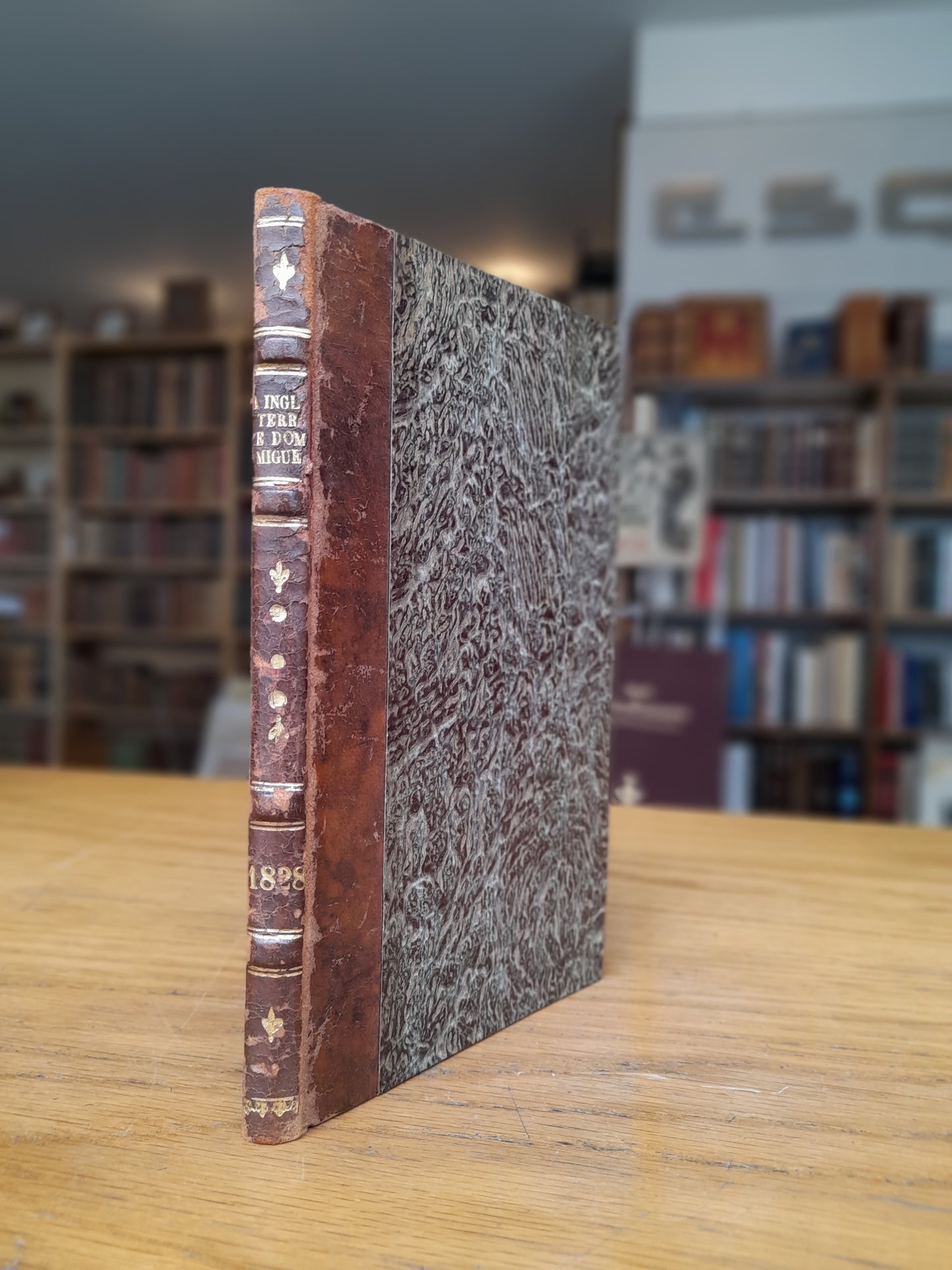 A INGLATERRA E D. MIGUEL