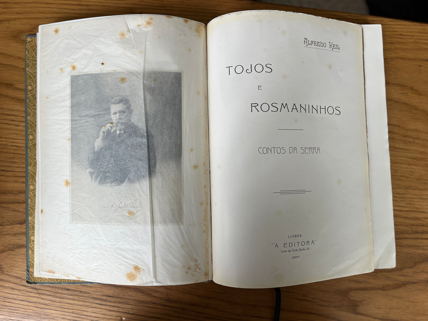 TÔJOS E ROSMANINHOS