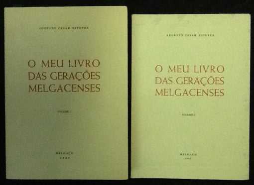 O MEU LIVRO DAS GERAÇÕES MELGACENSES