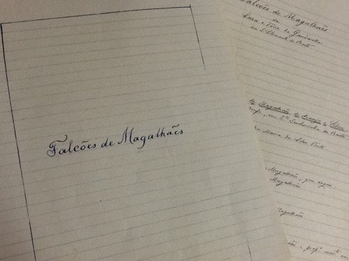 FALCÕES DE MAGALHÃES