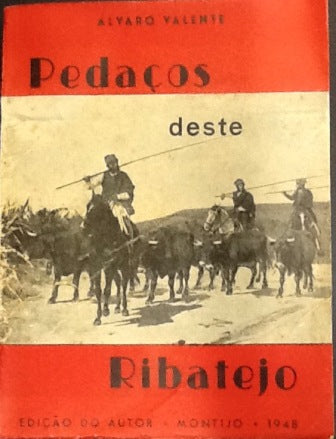 PEDAÇOS DESTE RIBATEJO