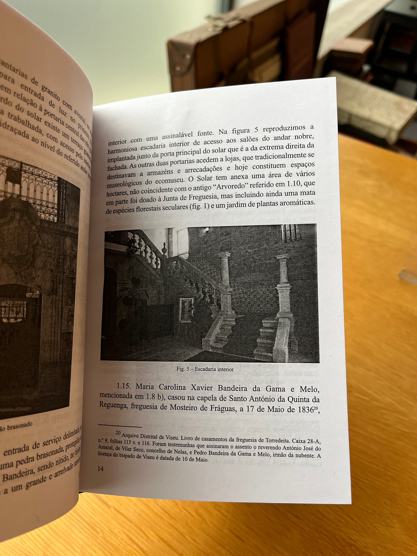 FAMÍLIA BANDEIRA, NO DISTRITO DE VISEU (REVISTA BEIRA ALTA)