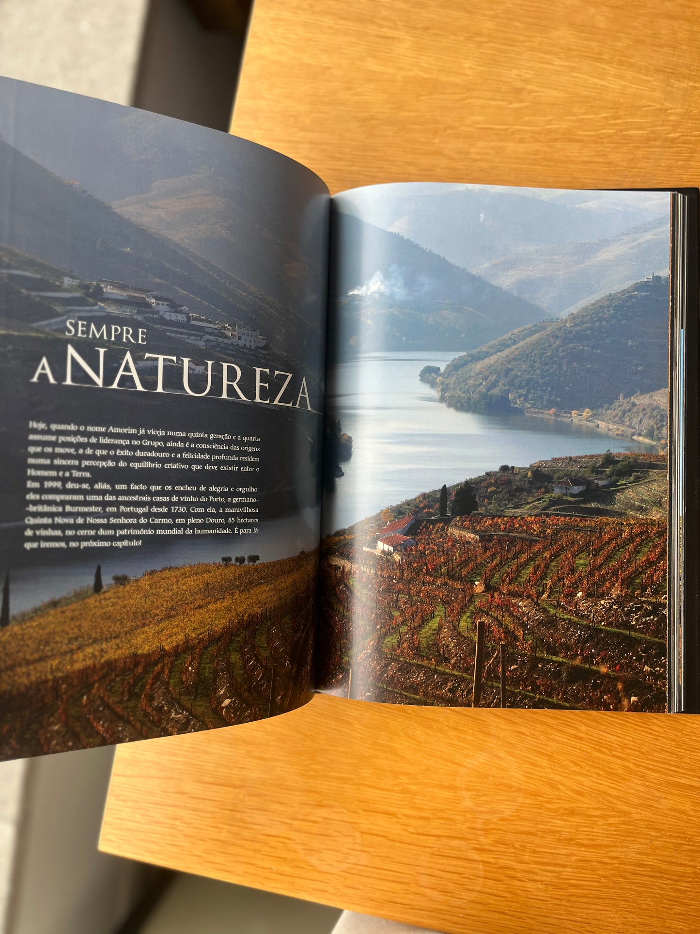 AMORIM CLUSTERS UNIDOS PELA NATUREZA
