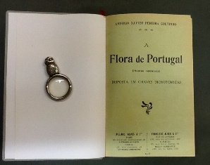 A FLORA DE PORTUGAL (Plantas vasculares)