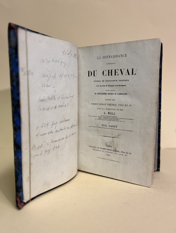 LA CONNAISSANCE GÉNÉRALE DU CHEVAL