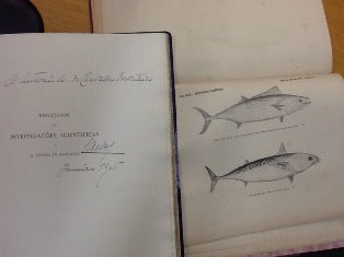 RESULTADOS DAS INVESTIGAÇÕES SCIENTIFICAS FEITAS A BORDO DO YACHT " AMELIA "