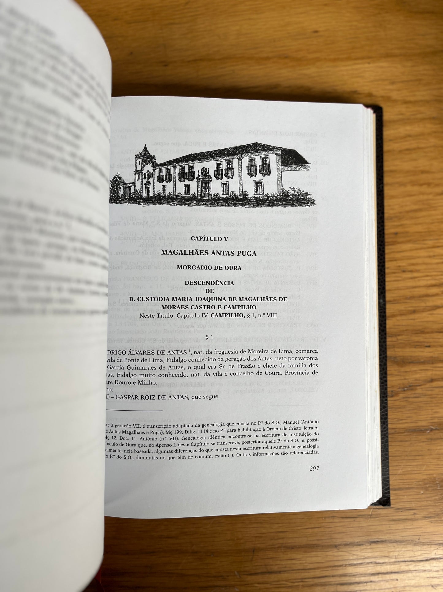 FAMÍLIAS TRANSMONTANAS