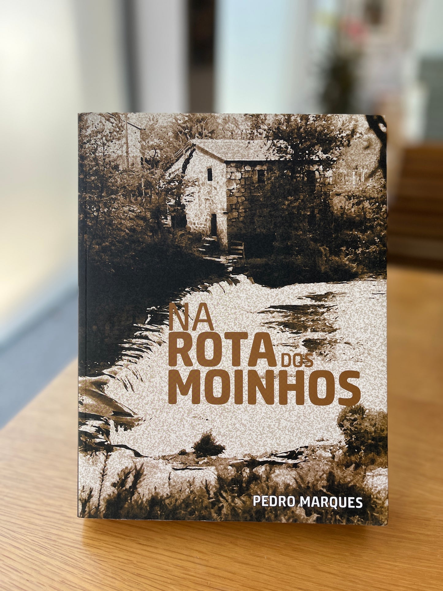 NA ROTA DOS MOINHOS