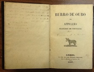 BURRO DE OURO