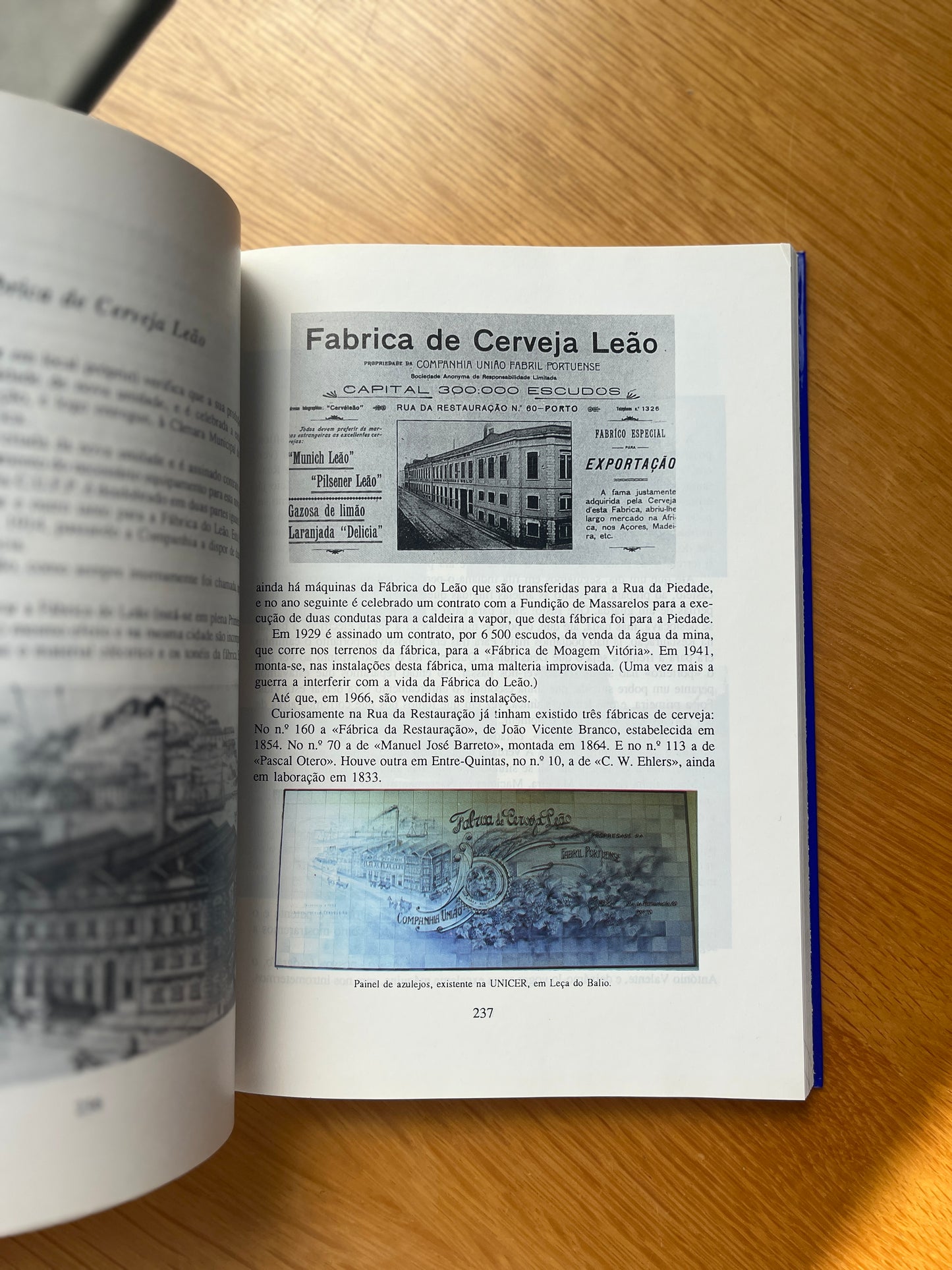 MONOGRAFIA DE MASSARELOS