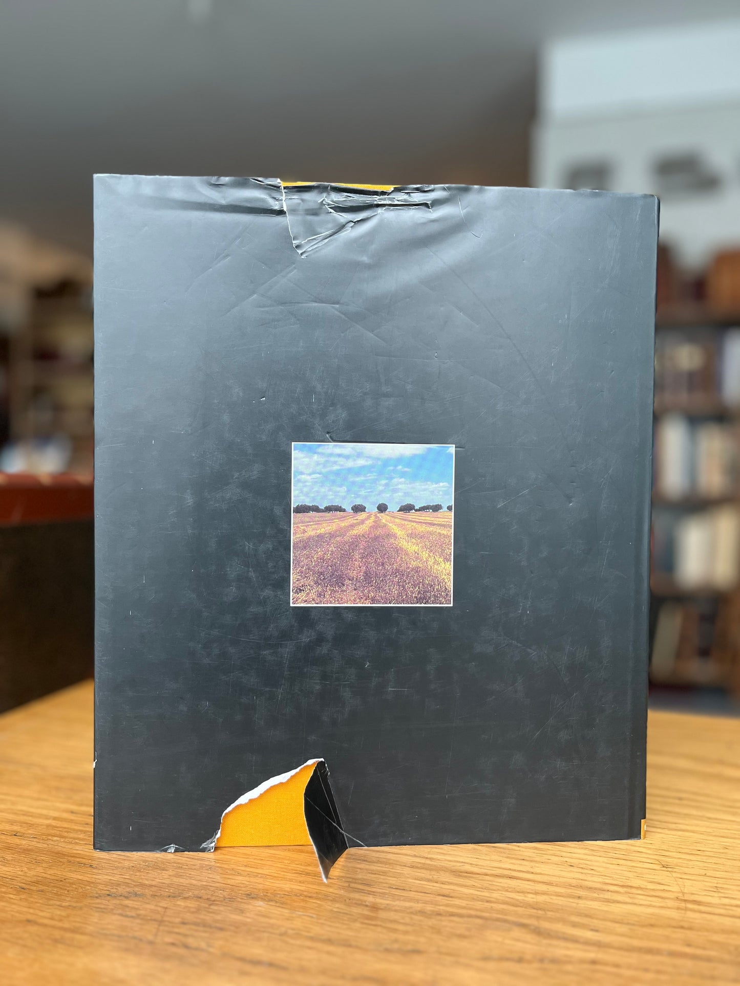 A LUZ DA CAL - ITINERÁRIO ALENTEJANO