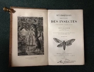 MÉTAMORPHOSES MOEURS ET INSTINCTS DES INSECTES