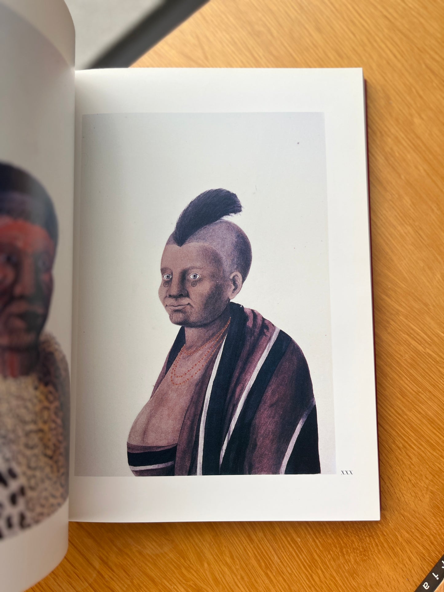 MEMÓRIA DA AMAZÓNIA