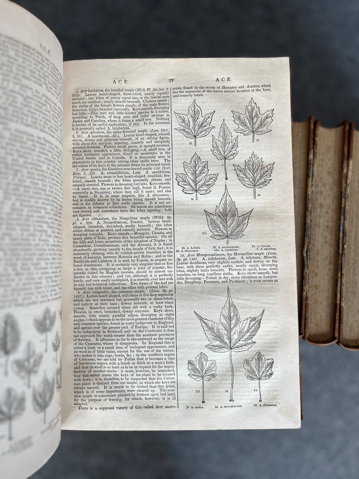 THE PENNY CYCLOPAEDIA, 28 VOL.