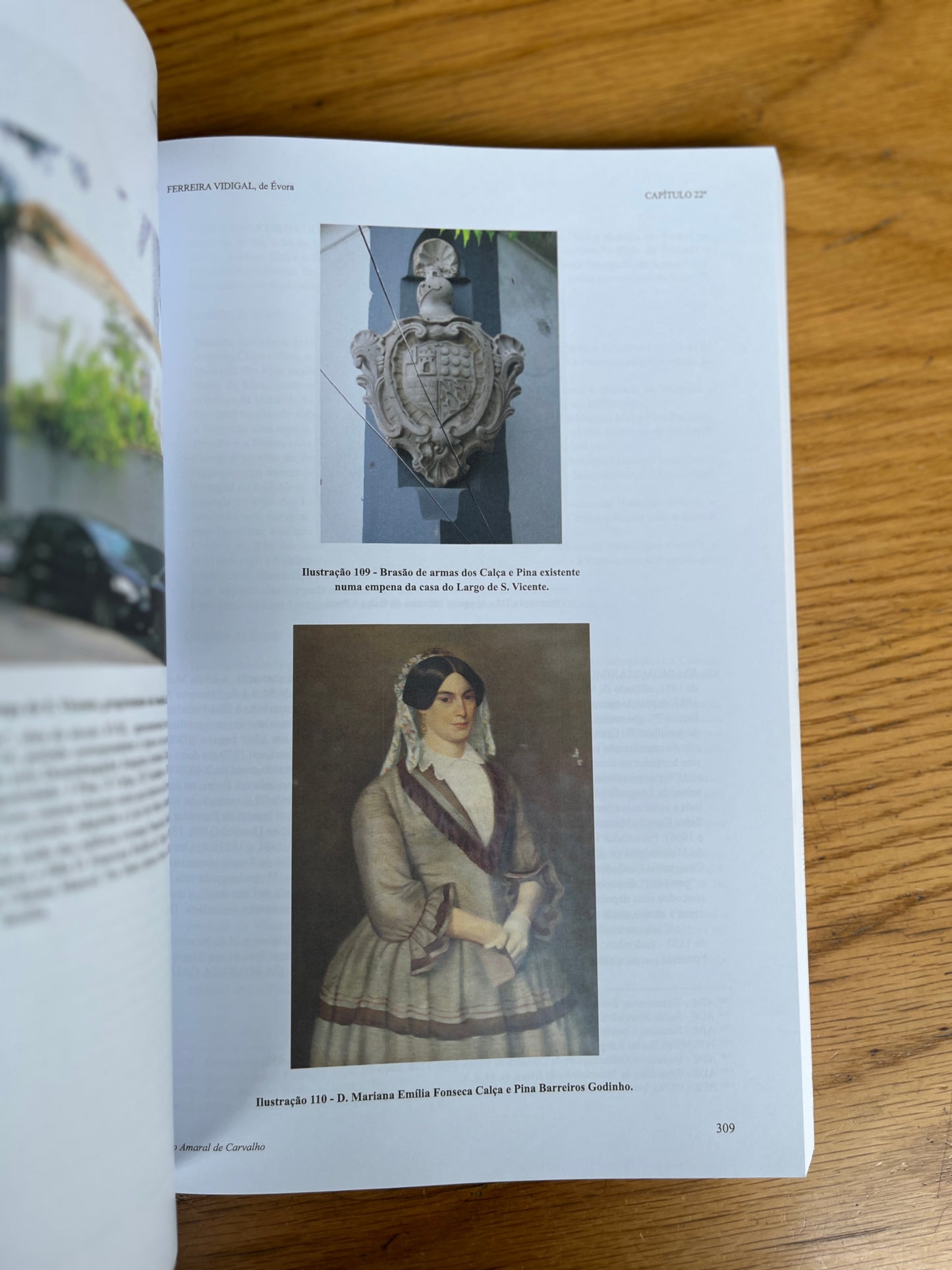 LAVRADORES ALENTEJANOS: GENEALOGIAS, 2 VOL.