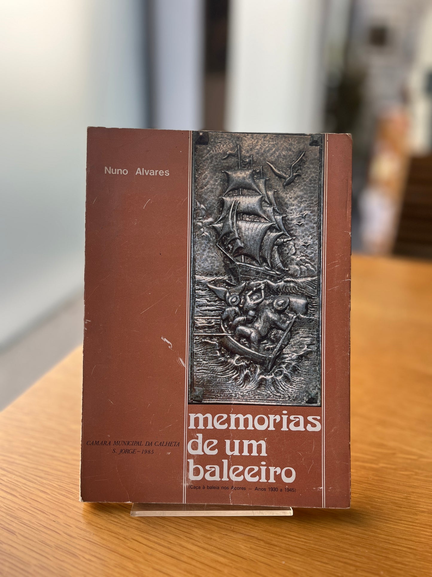 MEMÓRIAS DE UM BALEEIRO