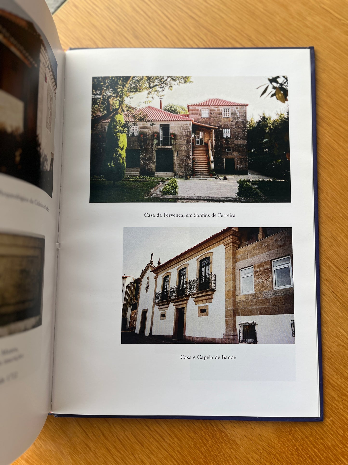 FAMÍLIA CARNEIRO LEÃO