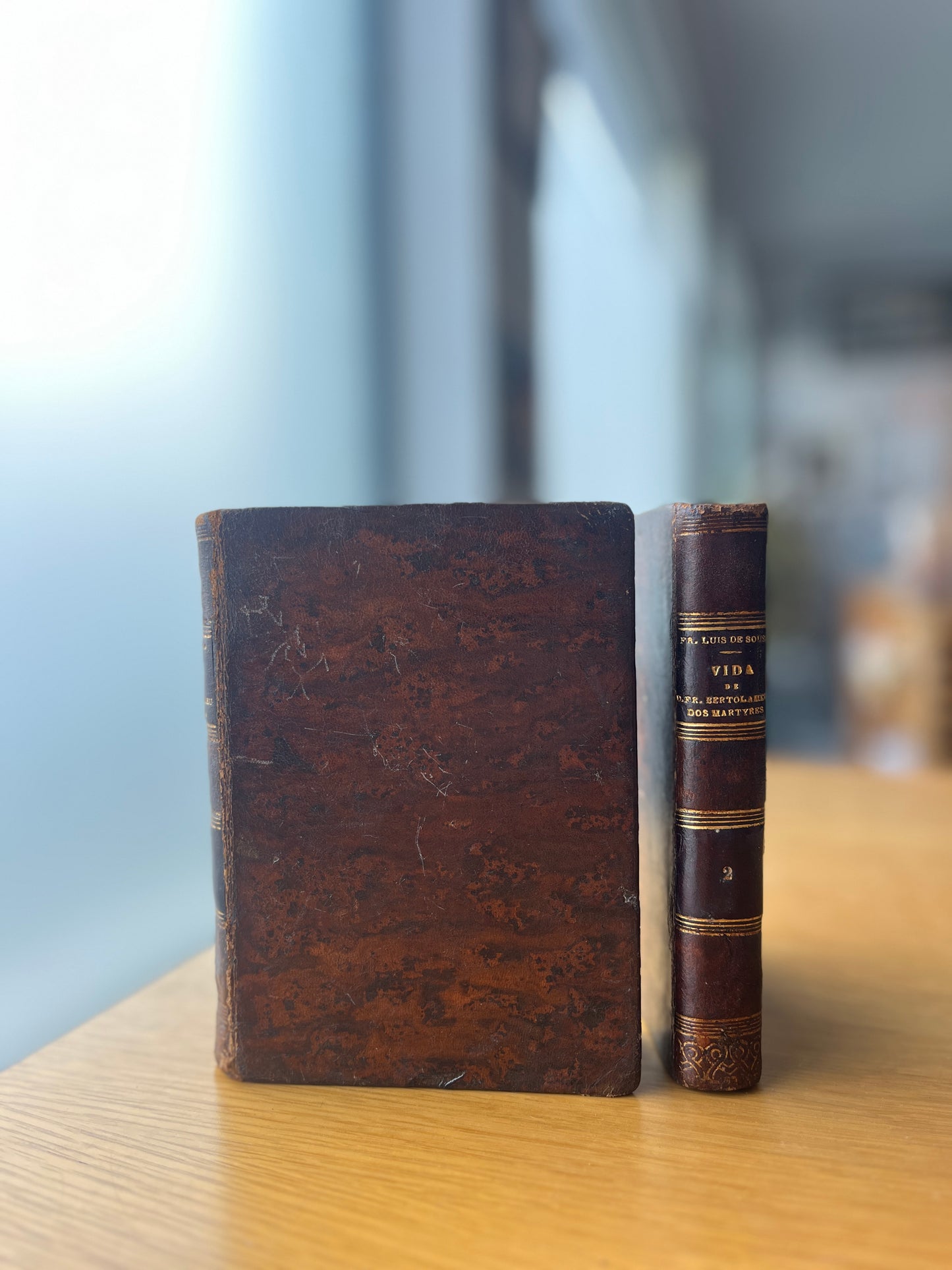 VIDA DE D. FR. BERTOLAMEU DOS MARTYRES, 2 VOL.