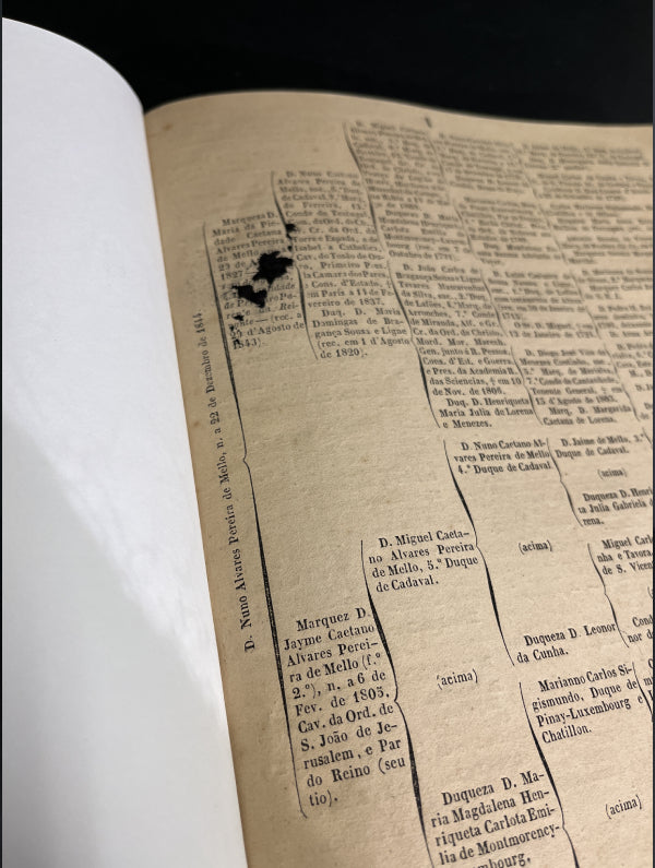 COLECÇÃO DE ARVORES DE COSTADO