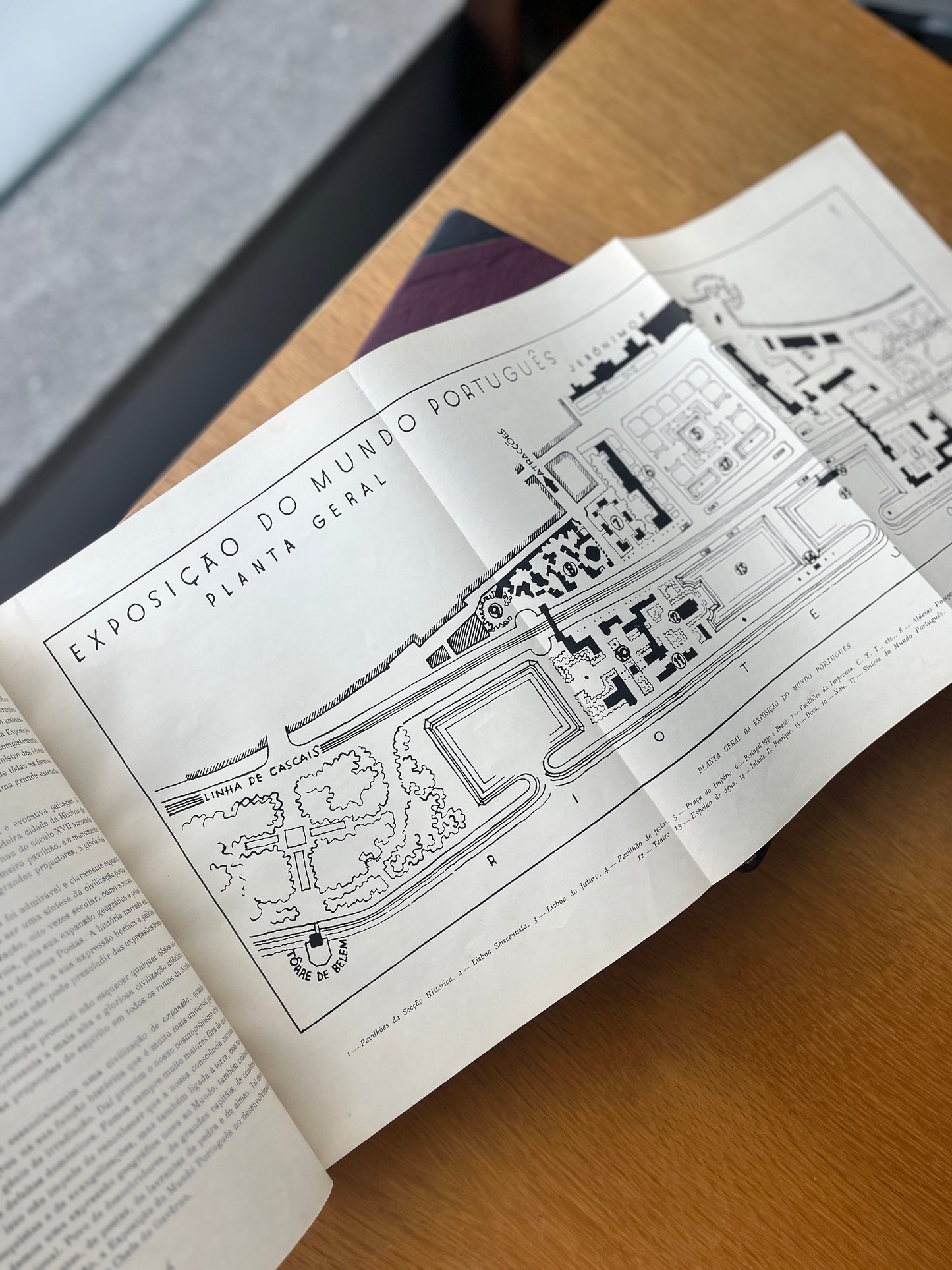 REVISTA DOS CENTENÁRIOS