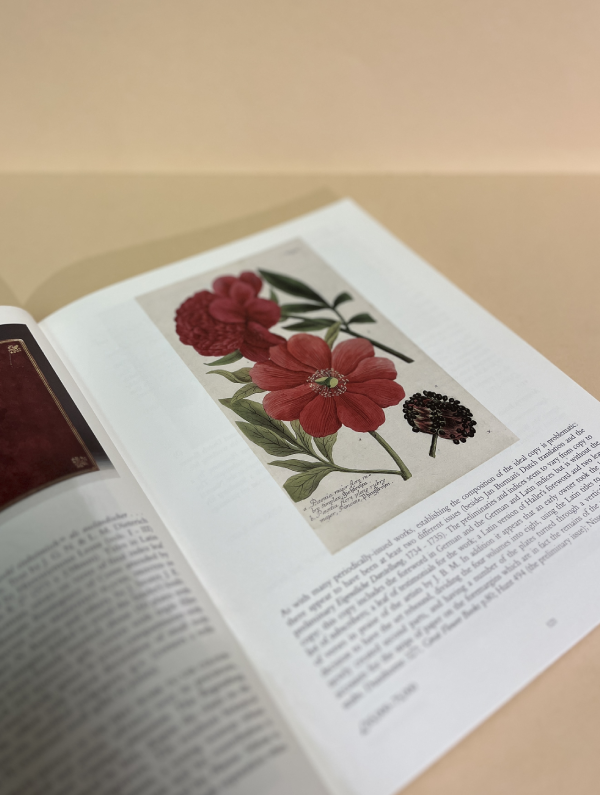 NATURAL HISTORY - CHRISTIE'S LONDON