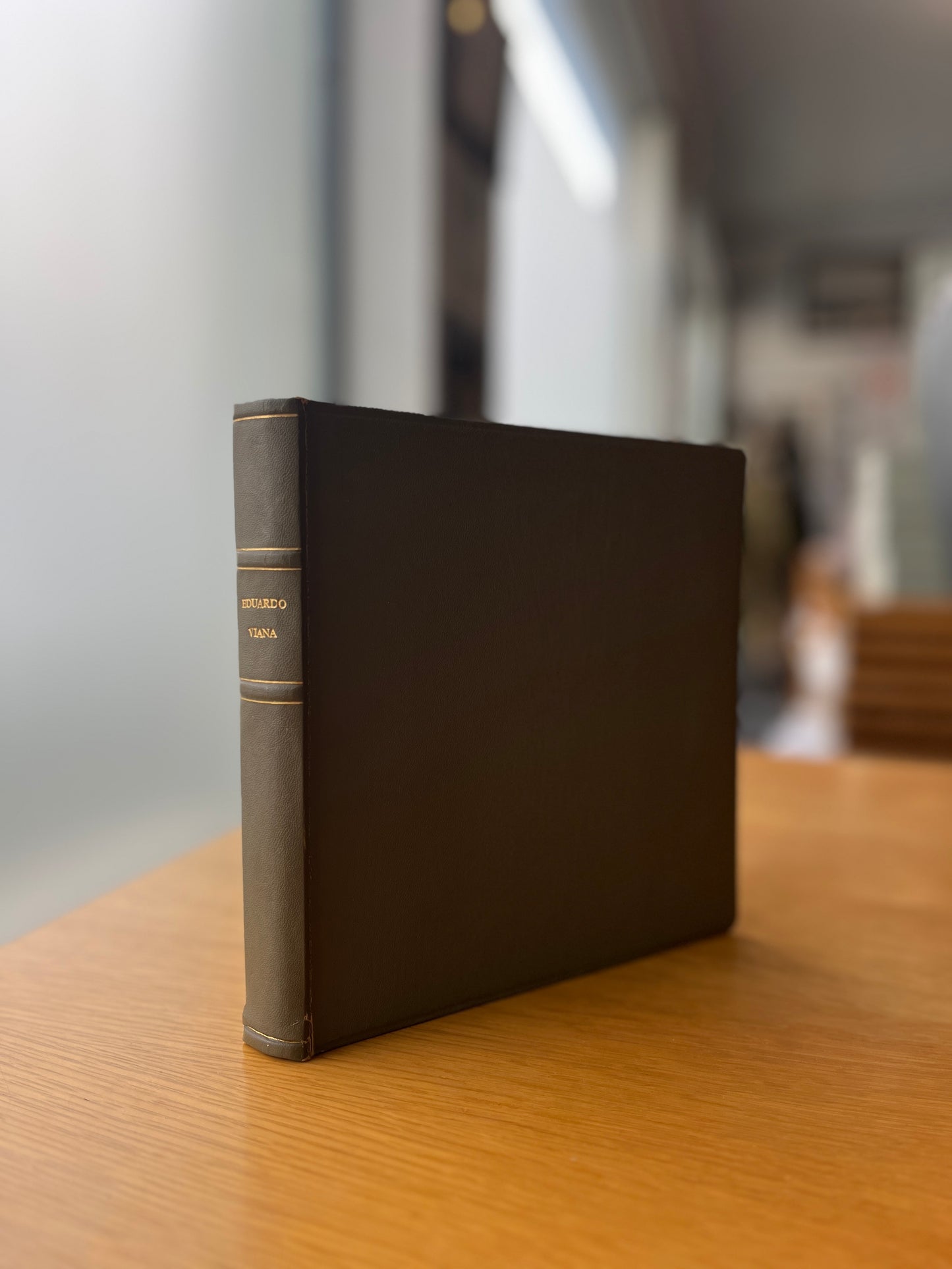 EXPOSIÇÃO RETROSPECTIVA DA OBRA DO PINTOR EDUARDO VIANA