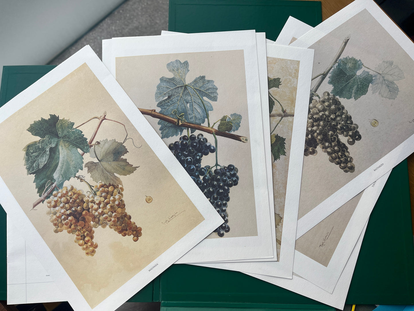 CASTAS PORTUGUESAS, AGUARELAS DE ROQUE GAMEIRO