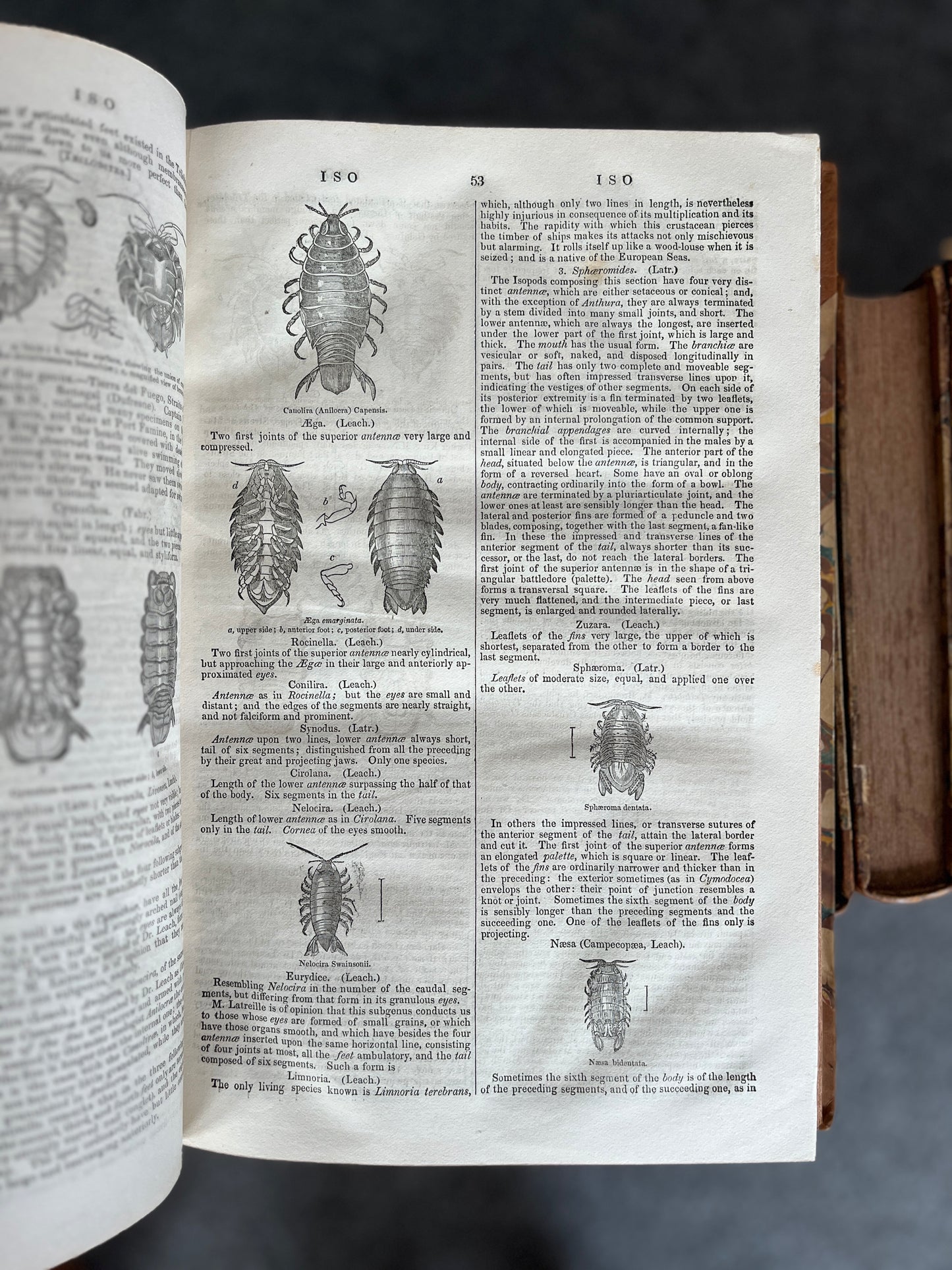 THE PENNY CYCLOPAEDIA, 28 VOL.