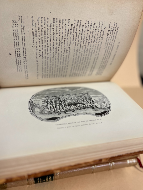 D. JOÃO VI PRINCIPE E REI