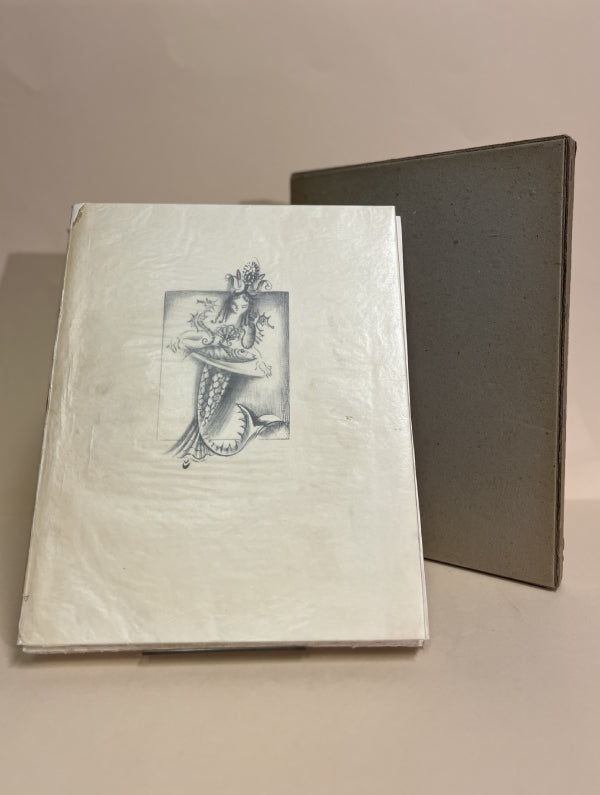 A ILHA MARAVILHOSA DE CALEMPLUI