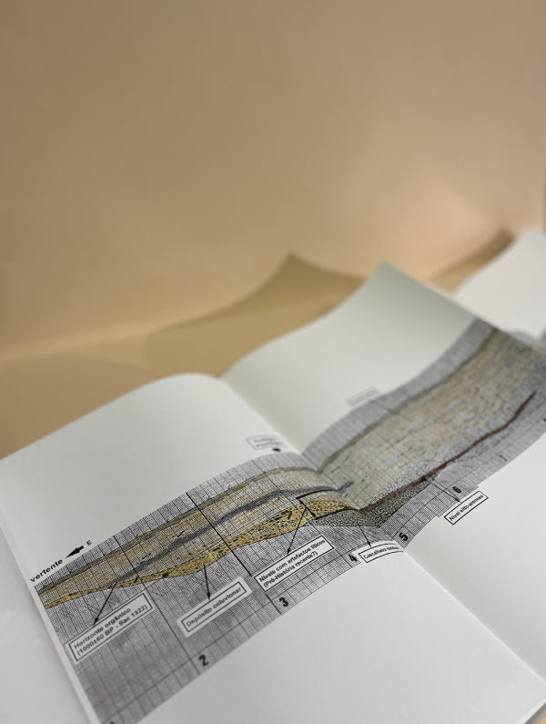 ARTE RUPESTRE E PRÉ- HISTÓRIA DO VALE DO CÔA