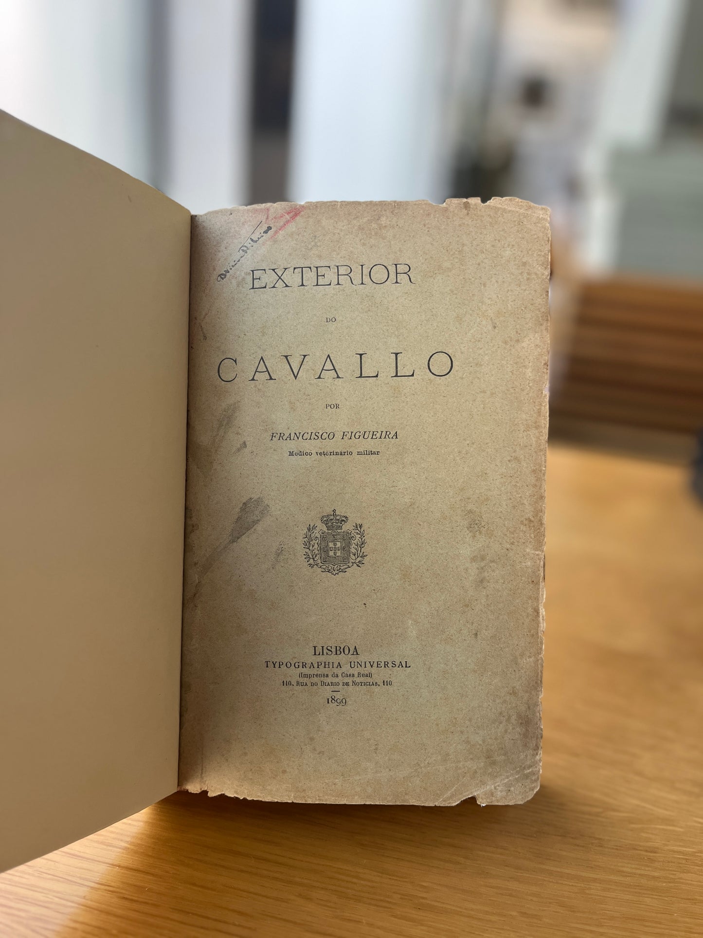 EXTERIOR DO CAVALLO