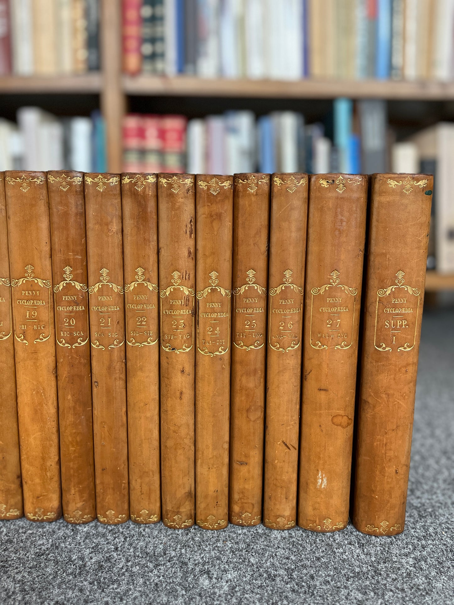 THE PENNY CYCLOPAEDIA, 28 VOL.